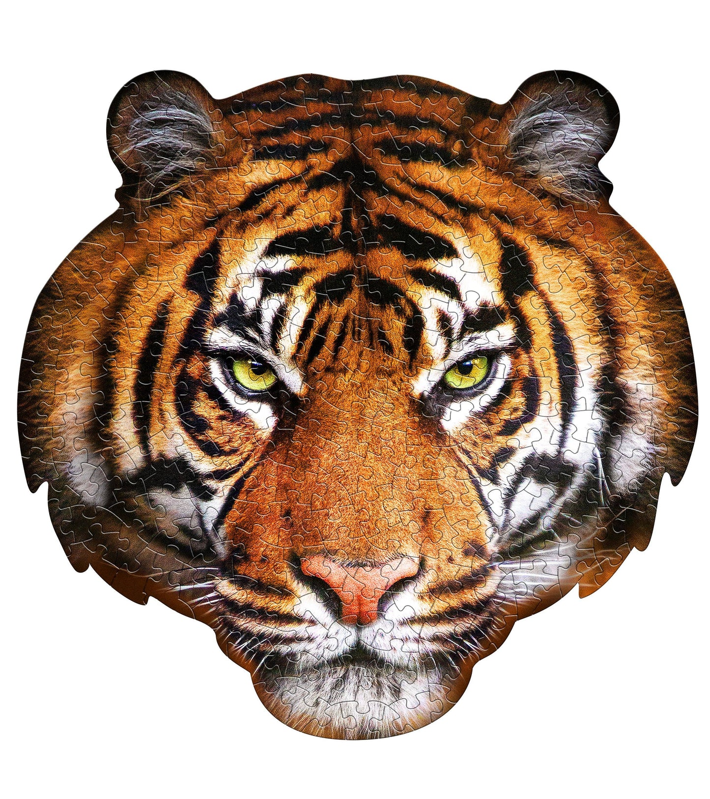 I AM Tiger 300 piece jigsaw puzzle - gift
