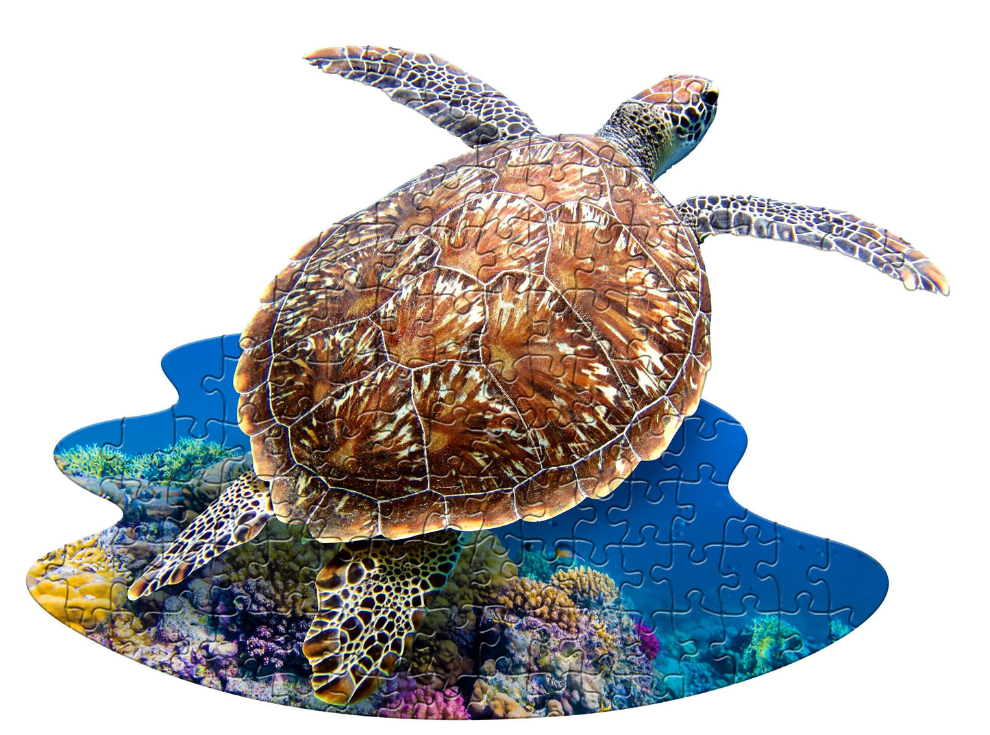 I AM Lil SEA TURTLE 100 piece jigsaw puzzle - gift