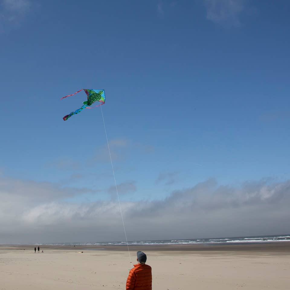 Sea Turtle 45" Fly-Hi Kite
