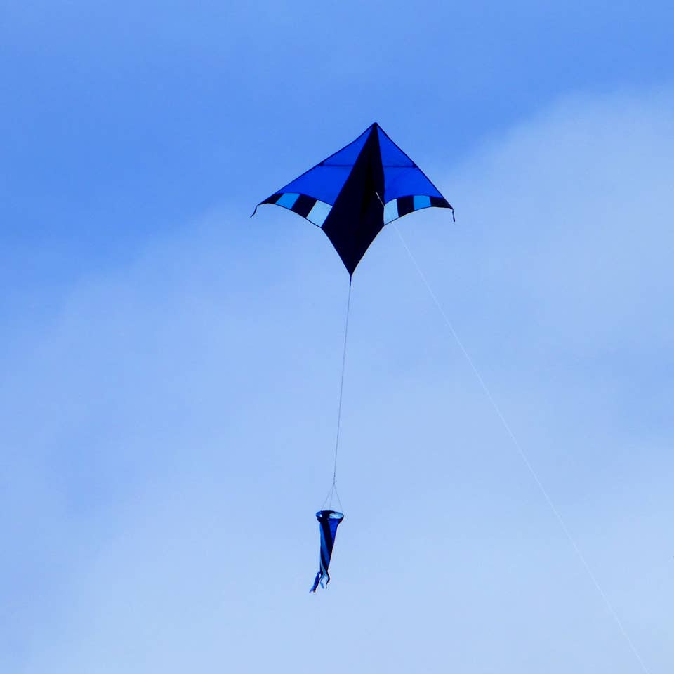Cool Breeze 60" Delta