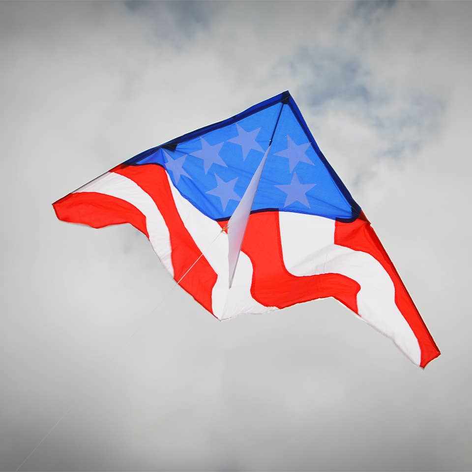Patriotic 57" Delta Kite