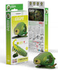 EUGY Kakapo 3D Puzzle