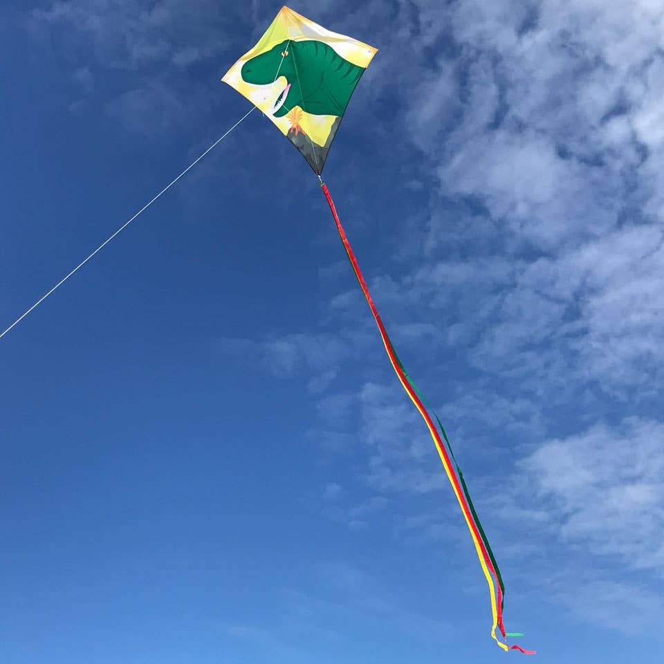 Dinosaur 30" Diamond Kite (Optimized for Shipping)