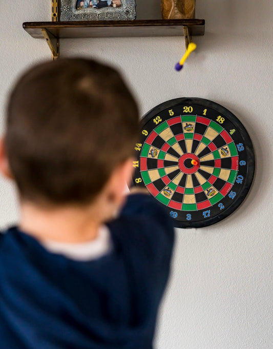 Doinkit Darts PRO Dartboard
