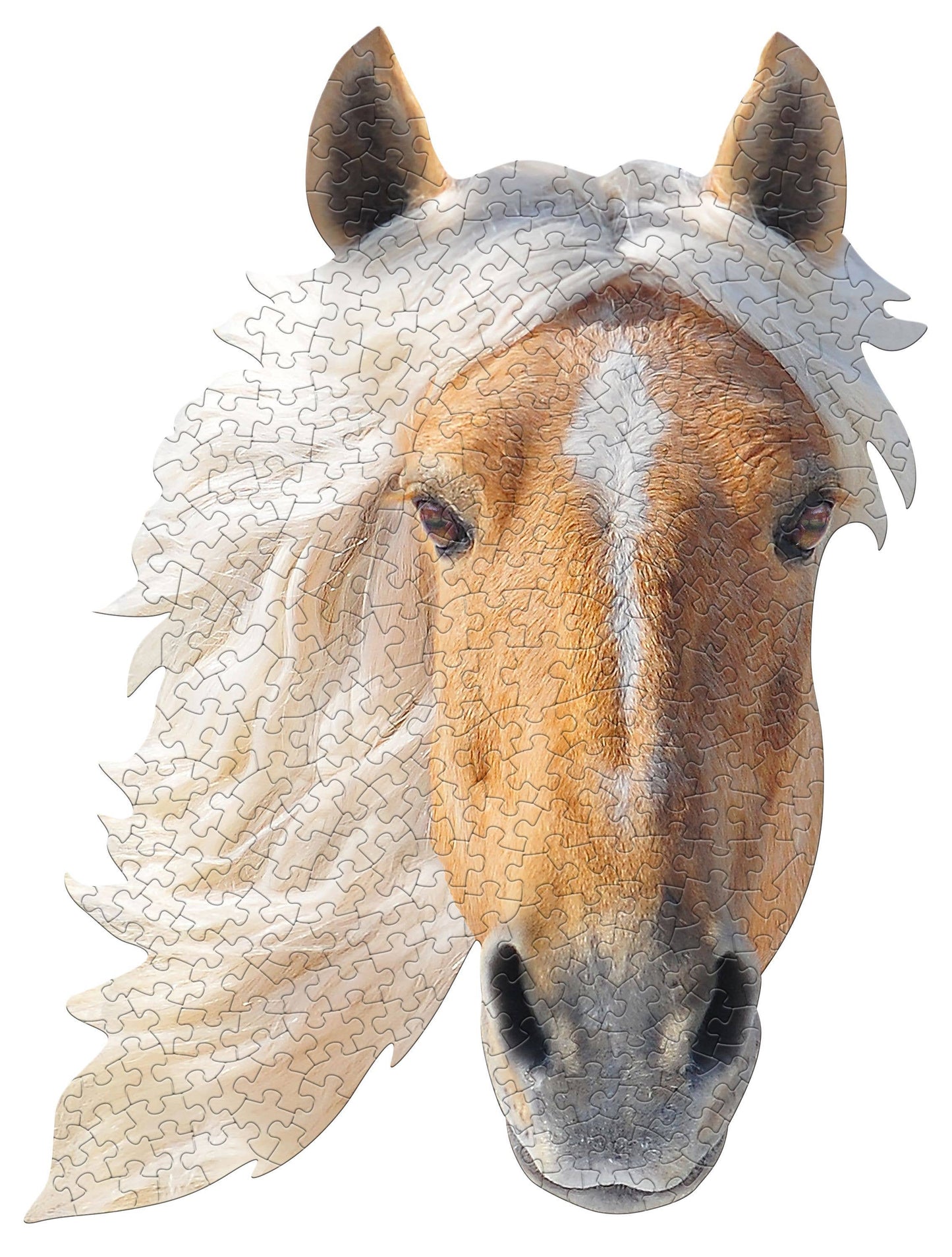 I AM HORSE 300 piece jigsaw puzzle - gift