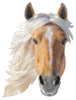 I AM HORSE 300 piece jigsaw puzzle - gift