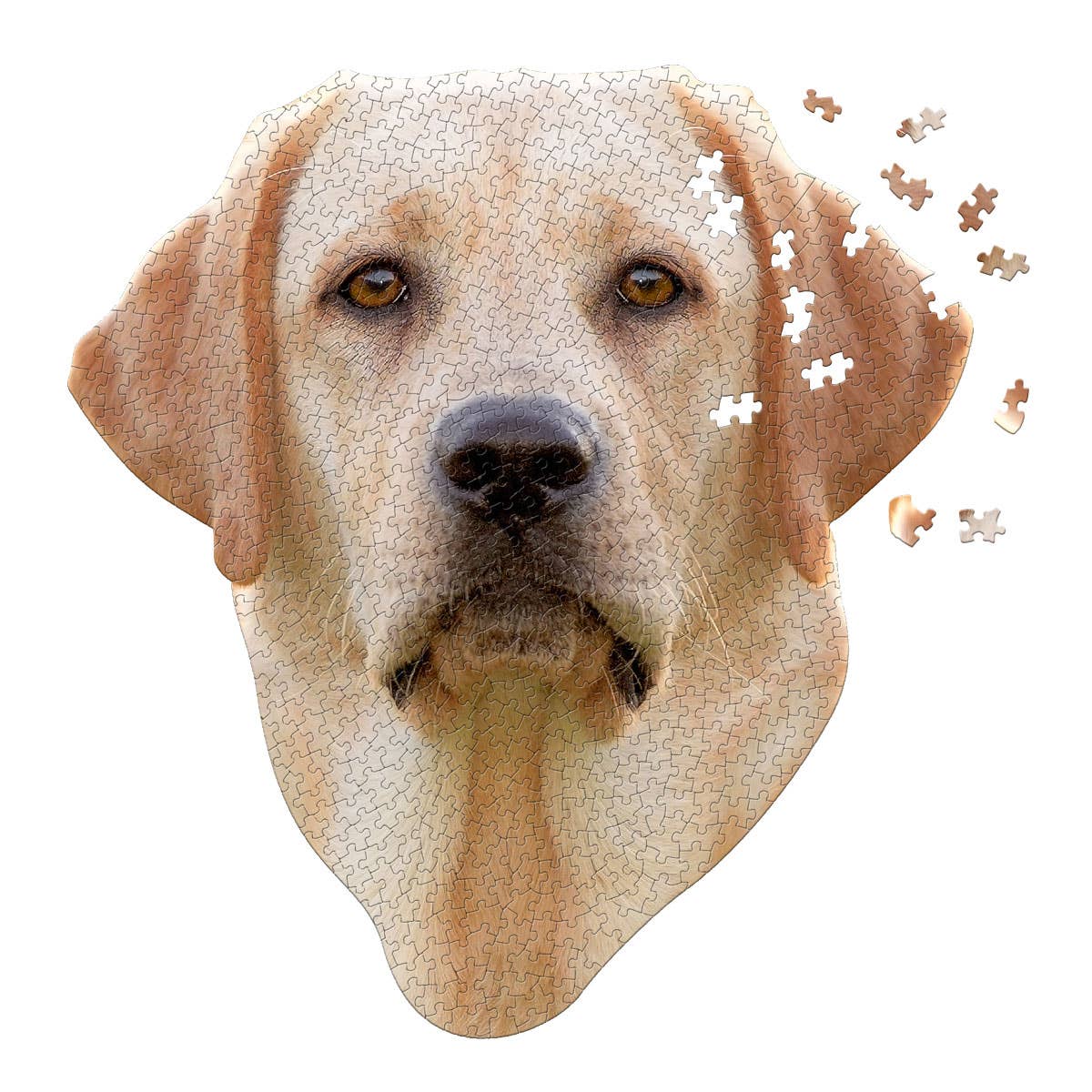 I AM LAB 550 piece puzzle gift