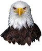 I AM Eagle 300 piece jigsaw puzzle - gift