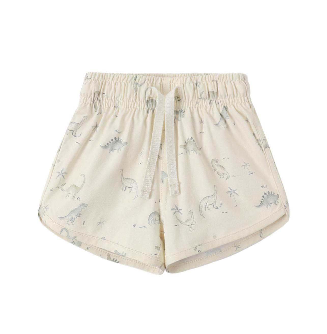 BOYS SWIM SHORT DINOSAUR