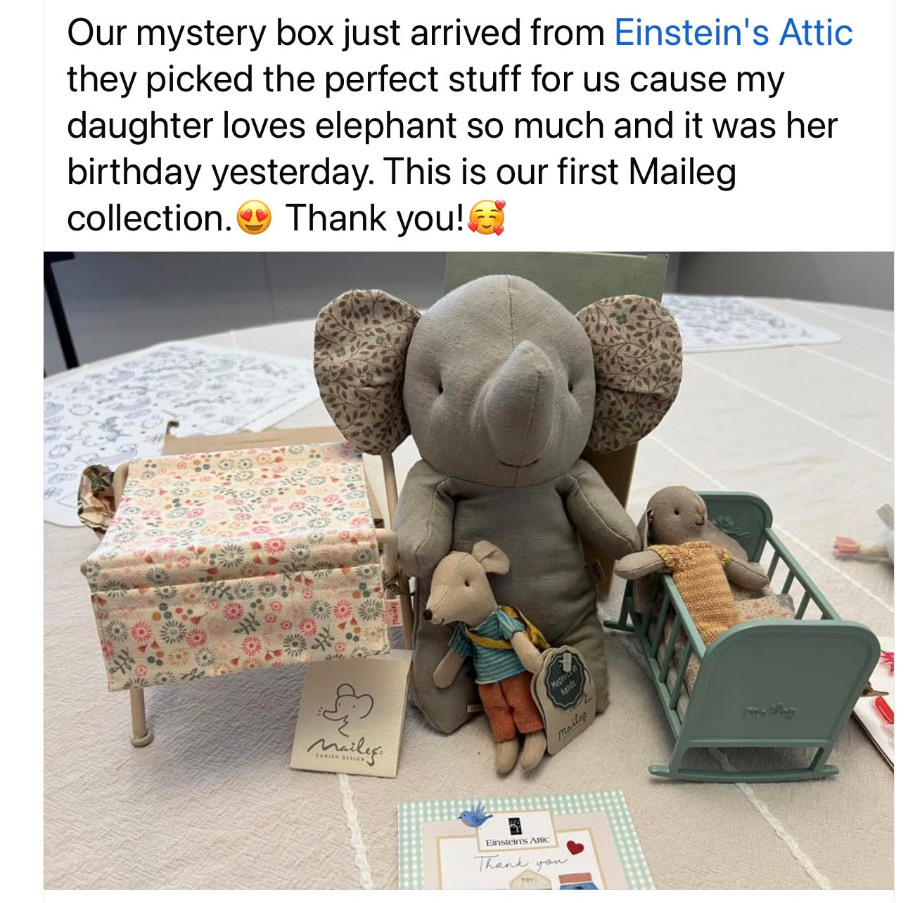 Maileg Mystery Box from Einstein’s Attic