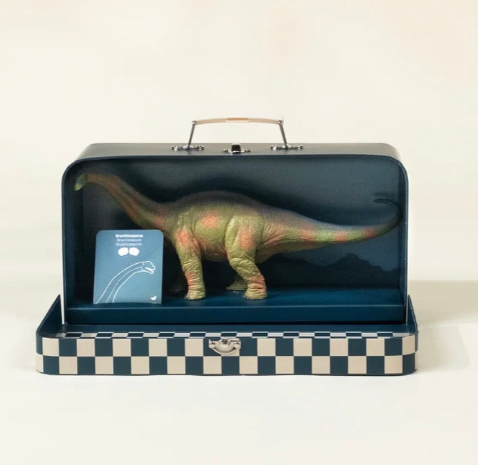 Brachiosaurus Dinosaur in a Collectible Box
