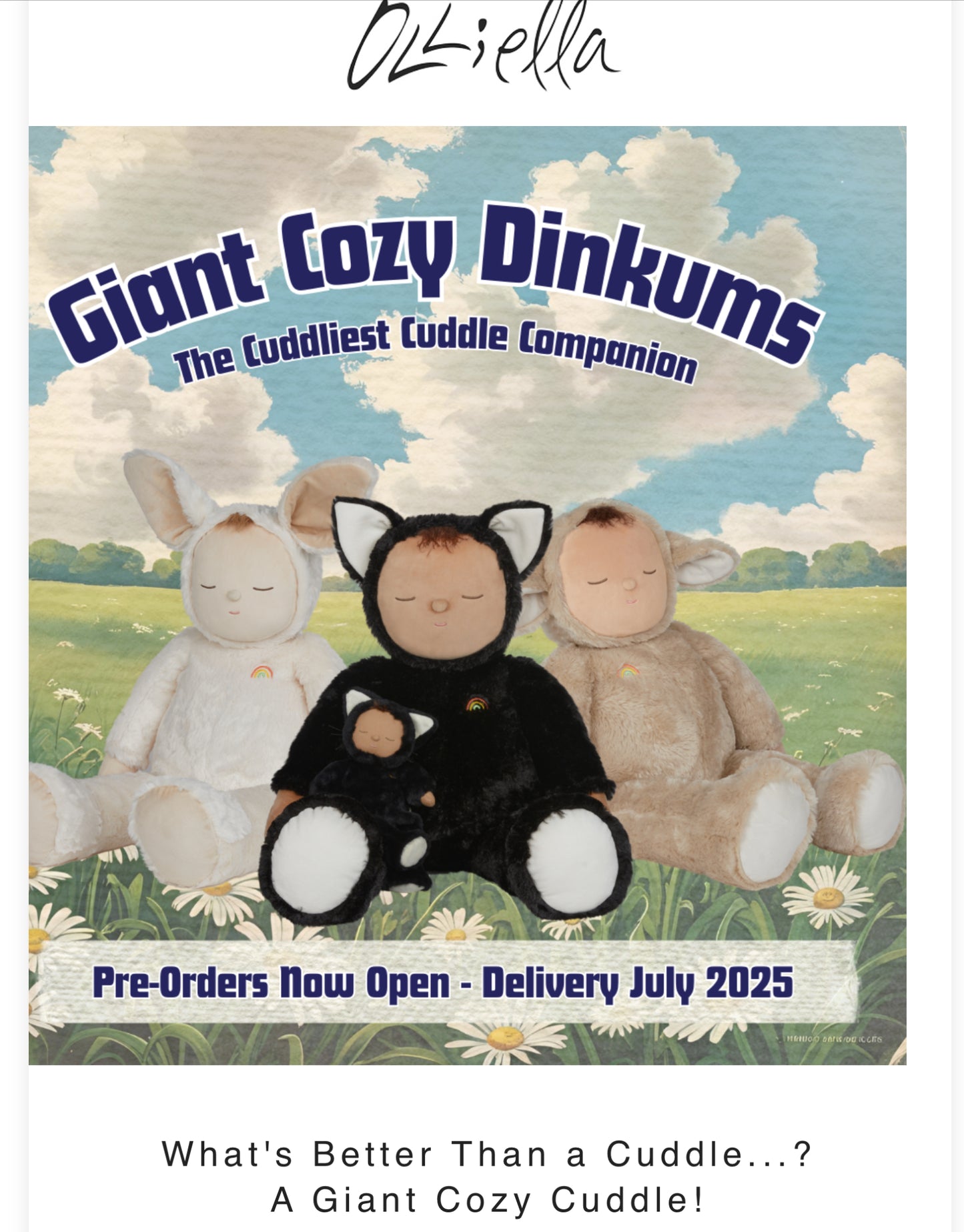 Giant Cozy Dinkums