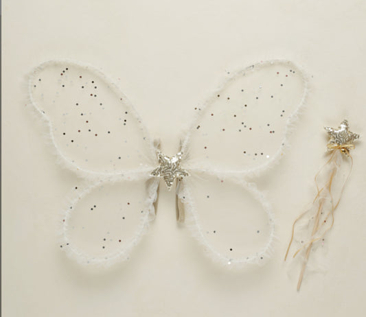 Fairy Set || Confetti