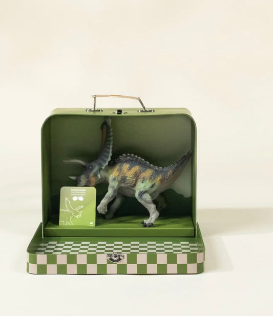 Pentaceratops Dinosaur in a Collectible Box