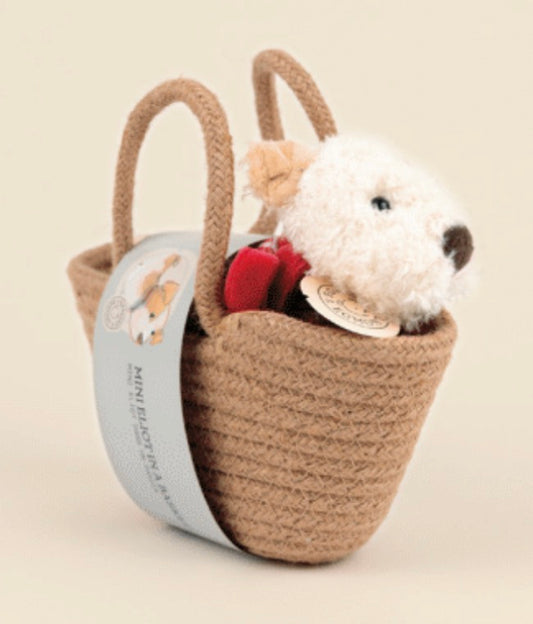 Eliot Small With Leash And Coat in a basket