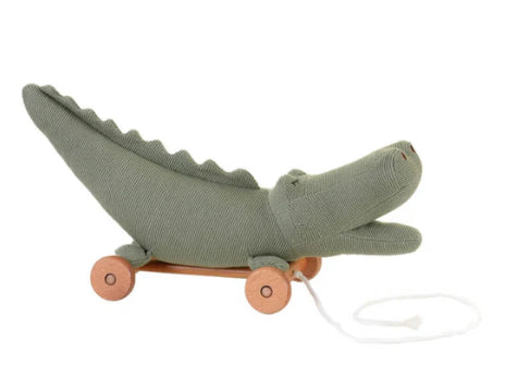 Pull-Along Croc