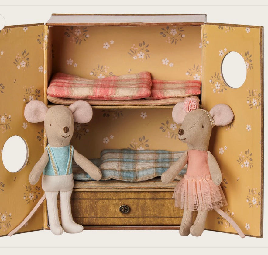 Ballet mice in dance studio, Little sister and brother
17-6105-00
