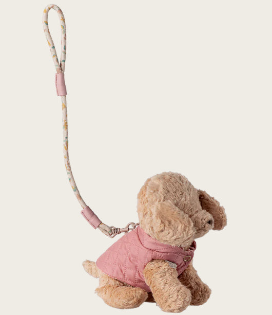 Pet supply, Harness and leash - Rose Puppy