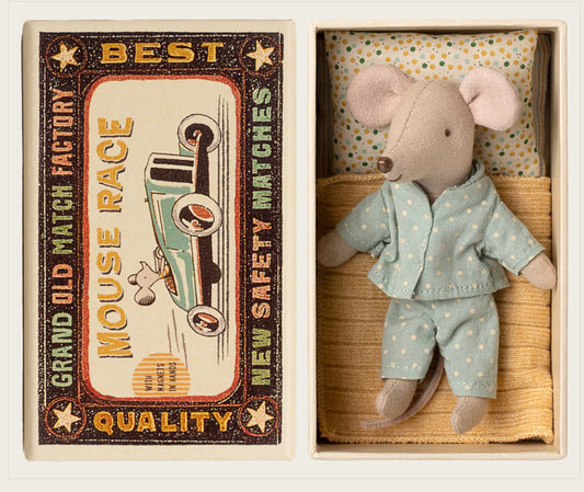 Little brother mouse in matchbox