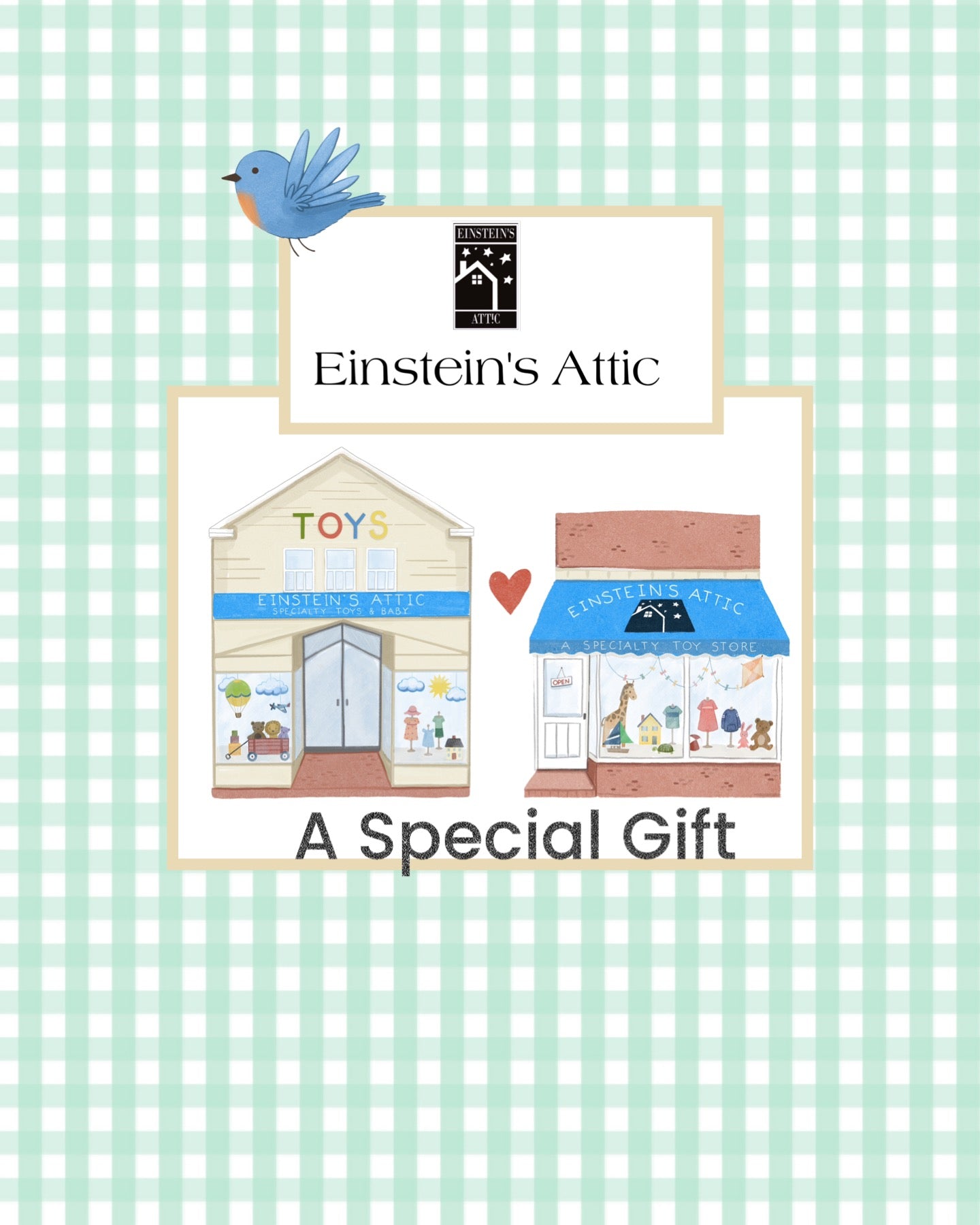 Einstein’s Attic DIGITAL Gift Card