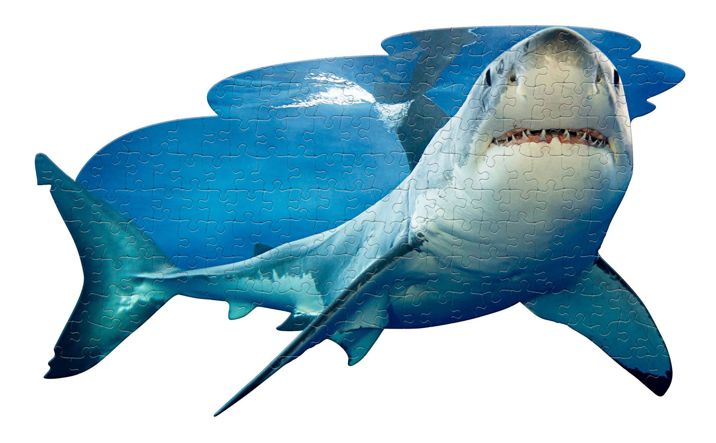 I AM Lil' Shark 100 piece jigsaw puzzle - gift