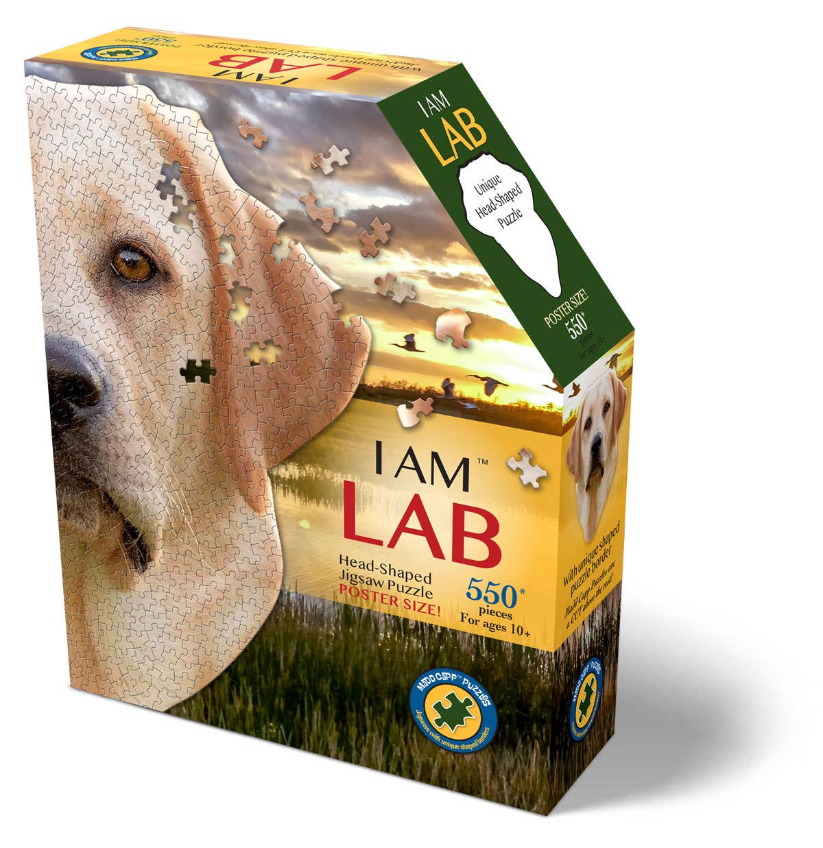 I AM LAB 550 piece puzzle gift