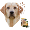 I AM LAB 550 piece puzzle gift