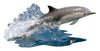 I AM Lil DOLPHIN 100 piece jigsaw puzzle - gift