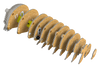 EUGY Wombat 3D Puzzle