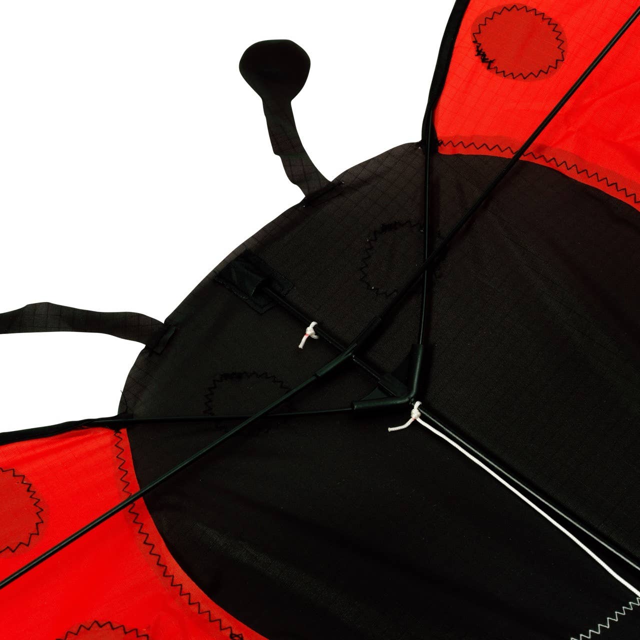 Ladybird Kite