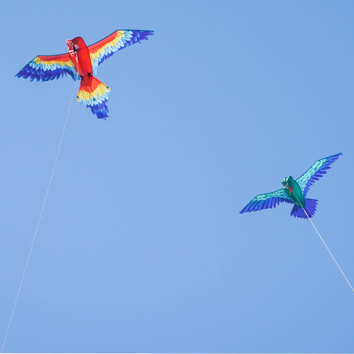 3D Hummingbird Kite