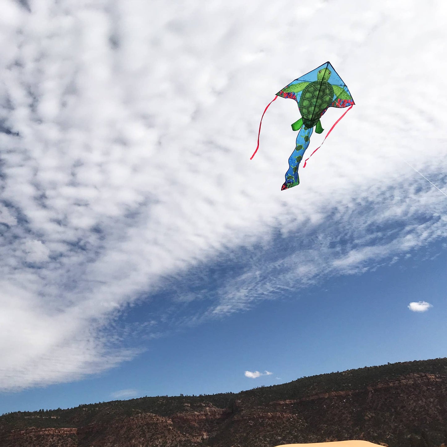 Sea Turtle 45" Fly-Hi Kite