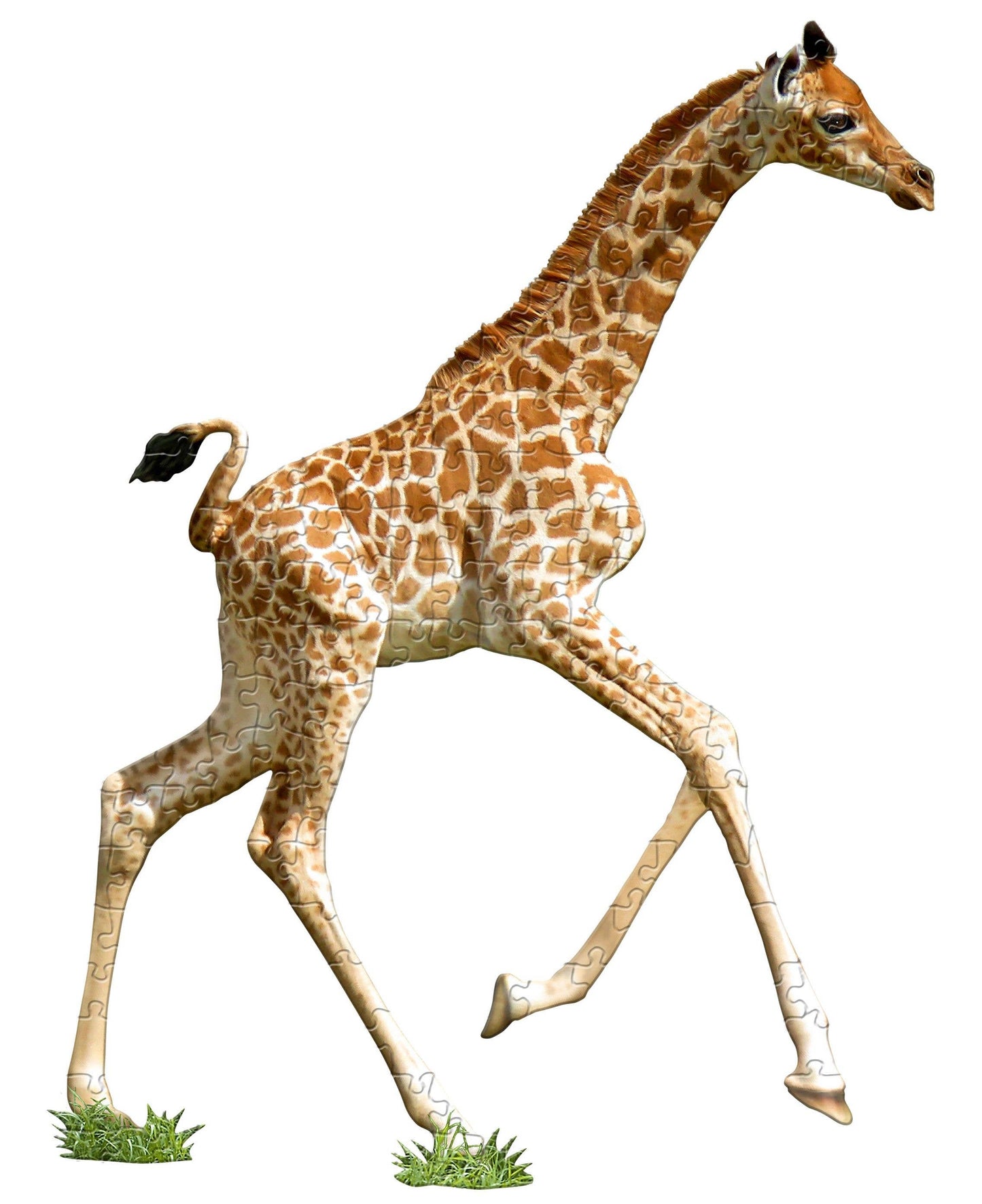 I AM Lil GIRAFFE 100 piece jigsaw puzzle - gift