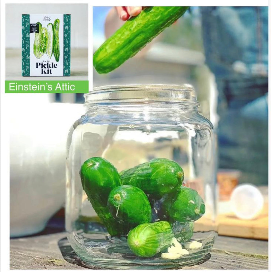Pickle Making Kit