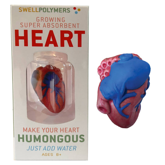 Extra Large Swell Polymer Heart - Einstein's Attic