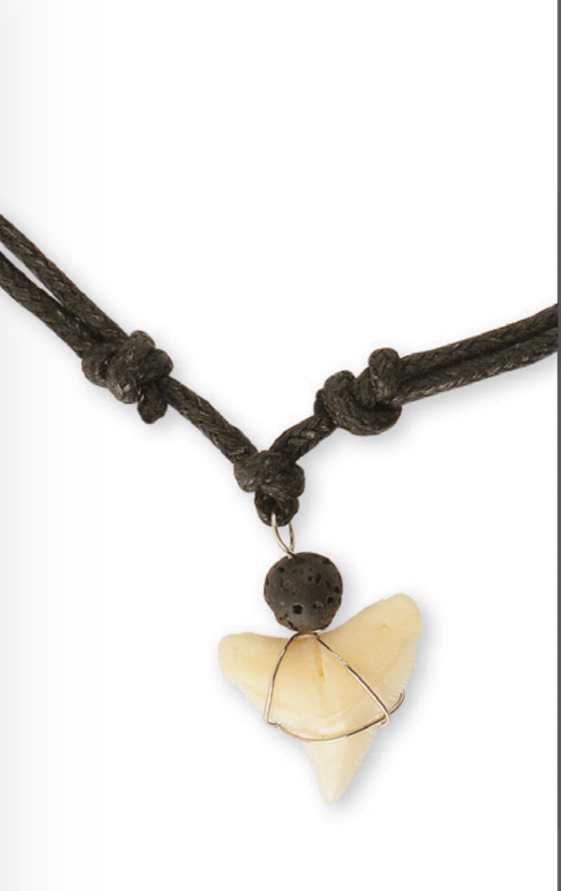 Black Cord with Hemp Shark Tooth Necklace - California Seashell Company  Retail