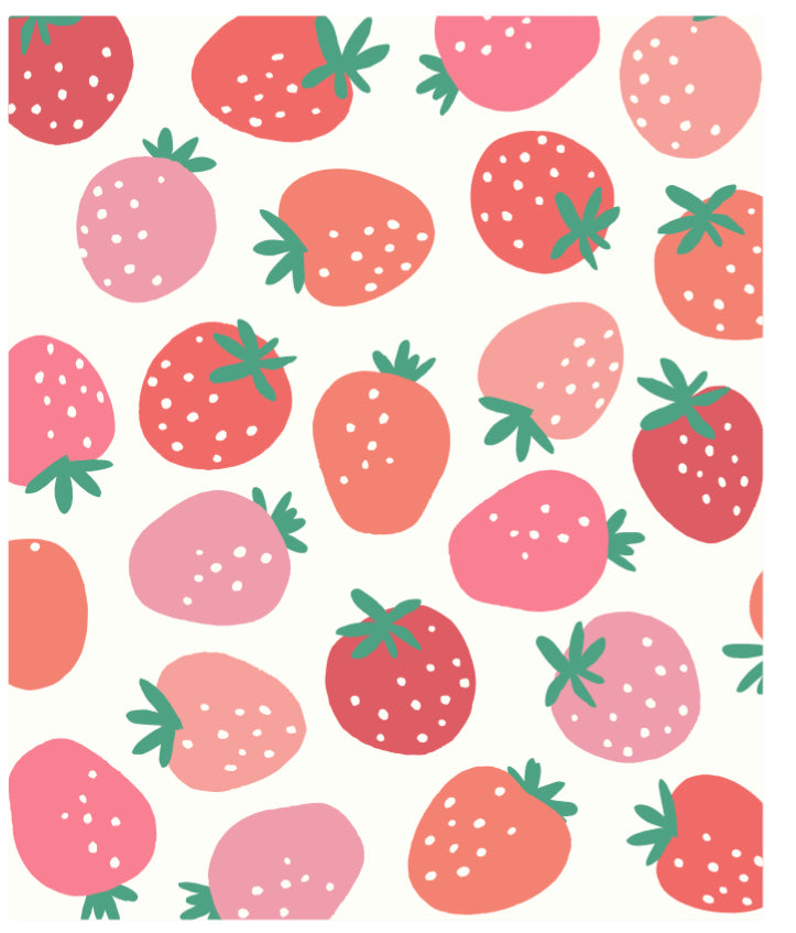 Farm Strawberries Zipper Romper - Einstein's Attic