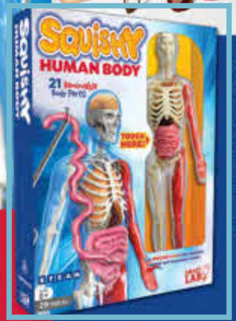 Squishy Human Body - Einstein's Attic