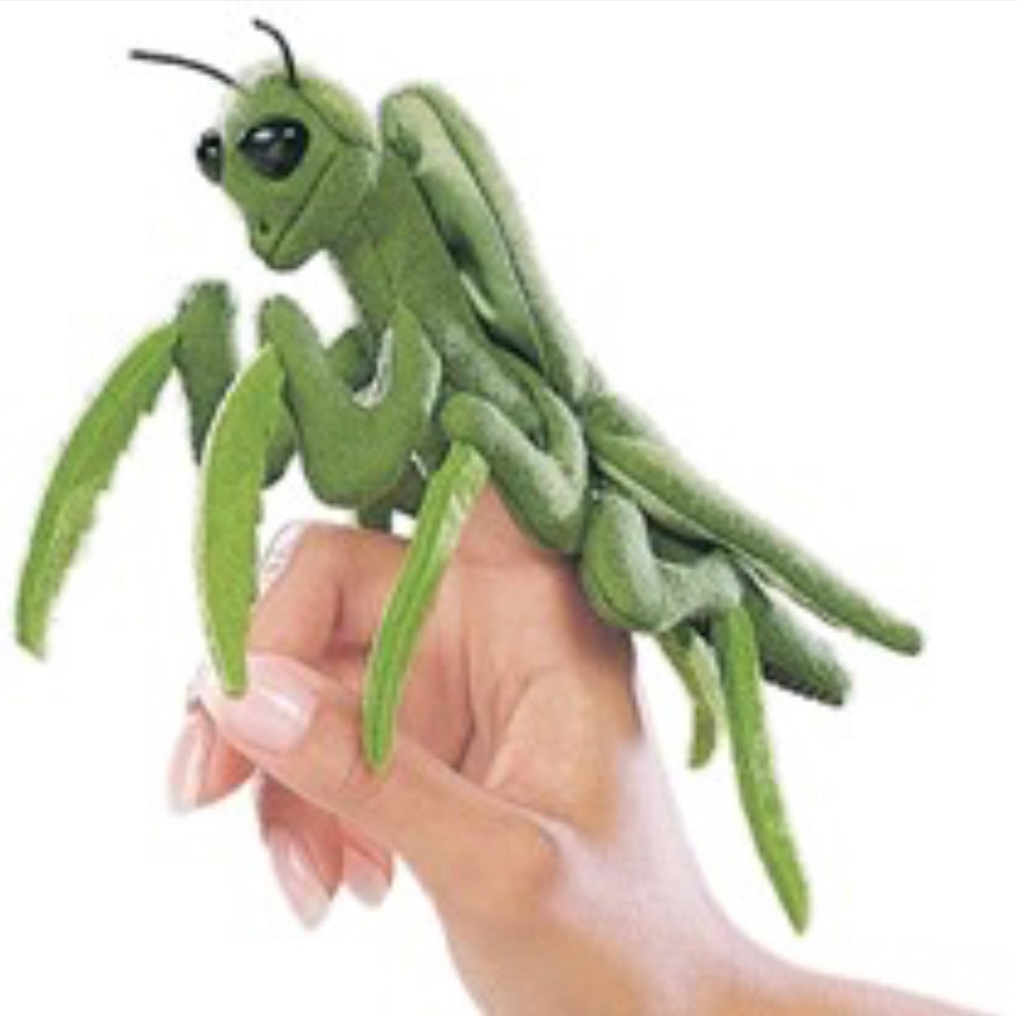 Finger Puppet - Praying Mantis - Einstein's Attic