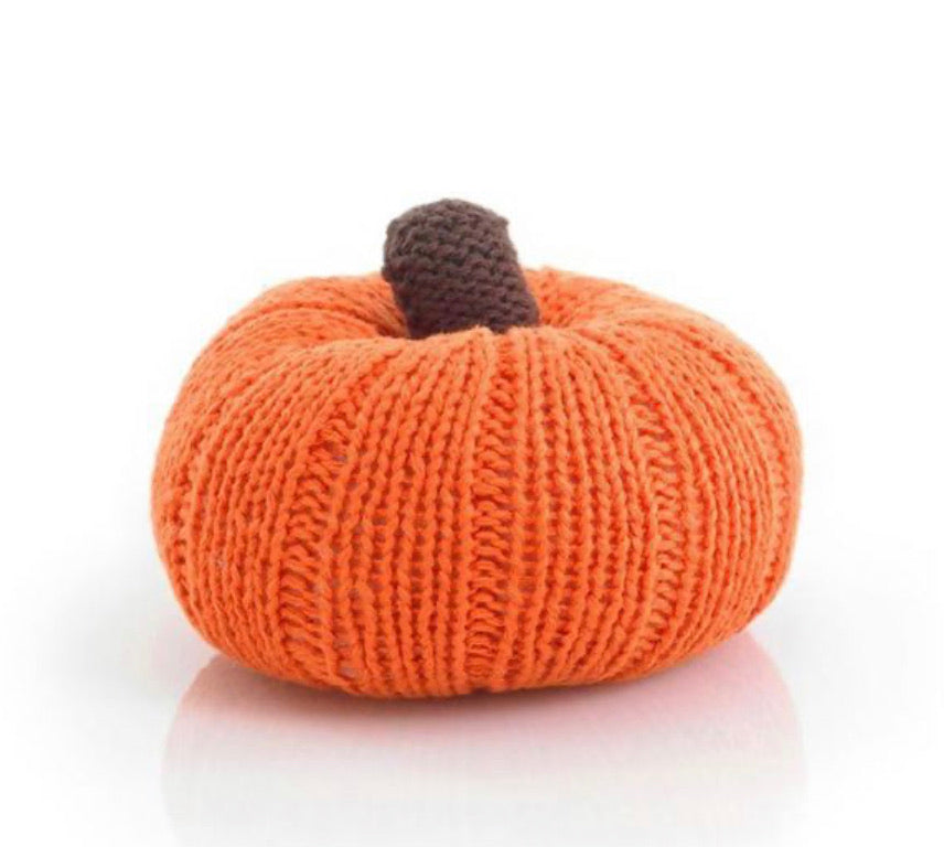 Pumpkin rattle - Einstein's Attic
