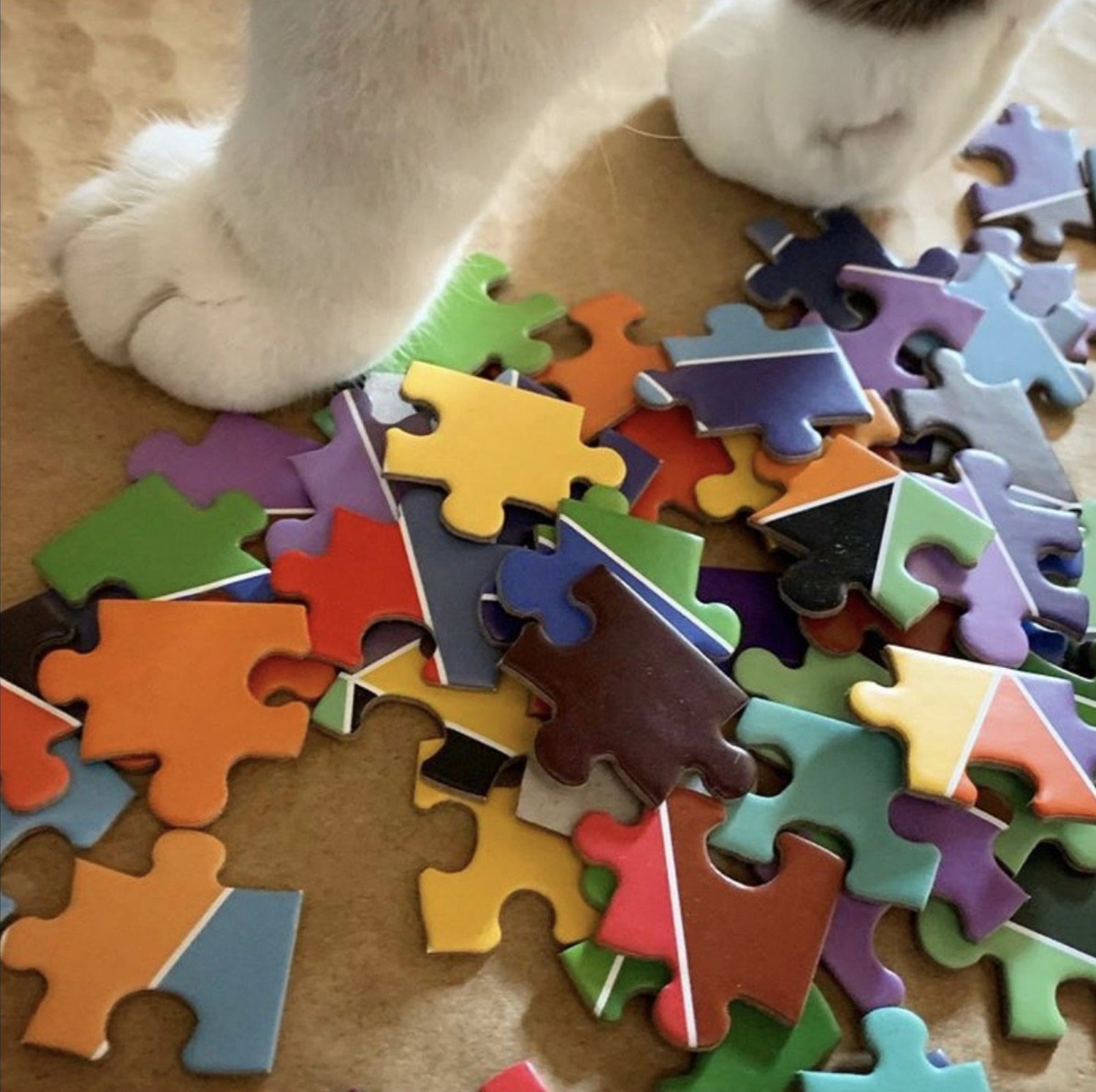 Jigsaw Puzzles,  Brainteasers and models- Assembly required and part of the fun !  ages toddler-adult
