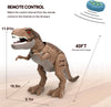 Remote Control Dinosaur Toys: Brown