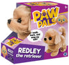 Redley the Walking Golden Retriever Dog