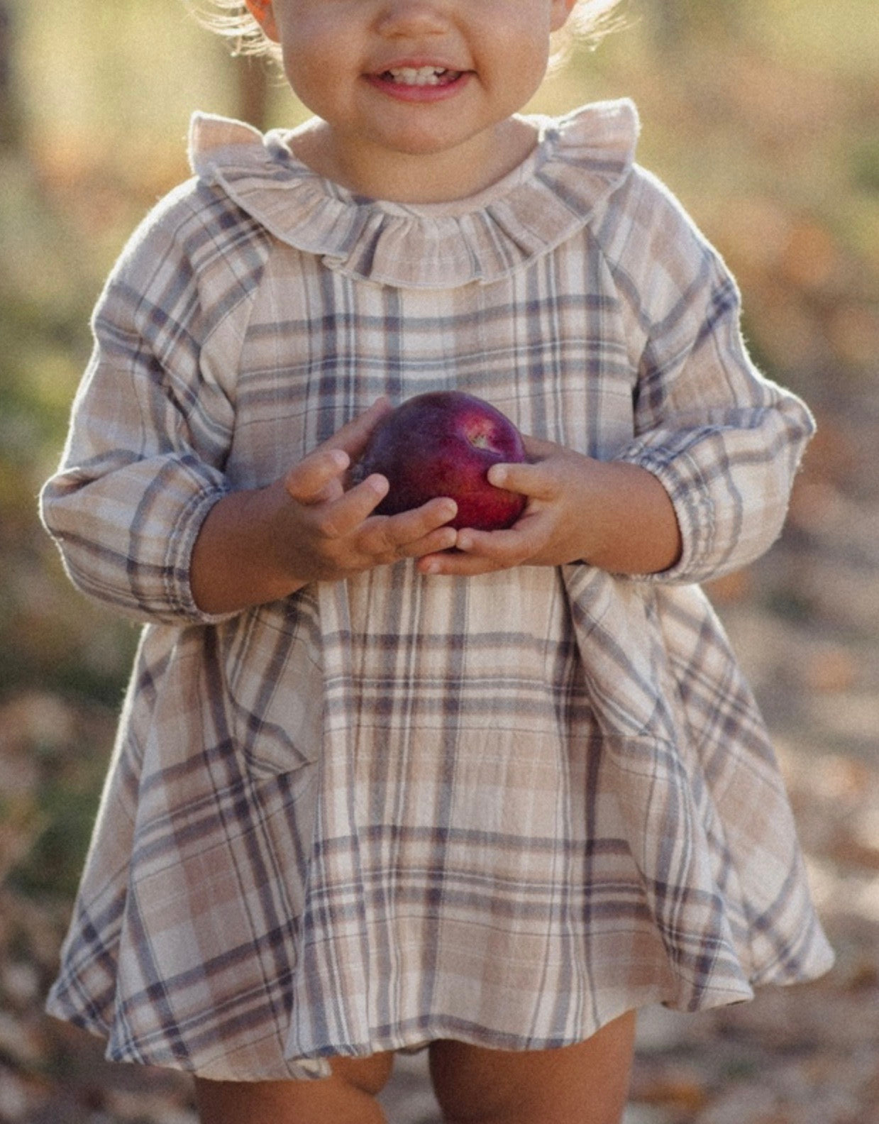 SIMONE DRESS FALL PLAID