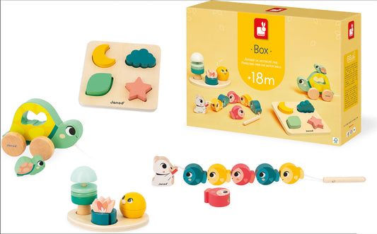 Developmental Activity Box +18m