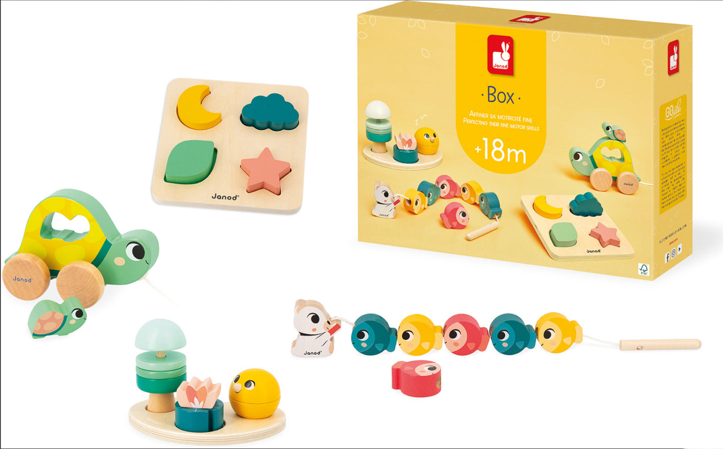 Developmental Activity Box +18m