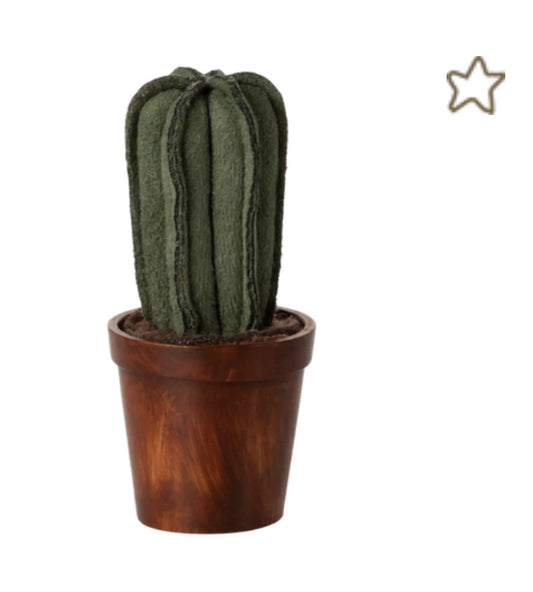 Flower pot with cactus