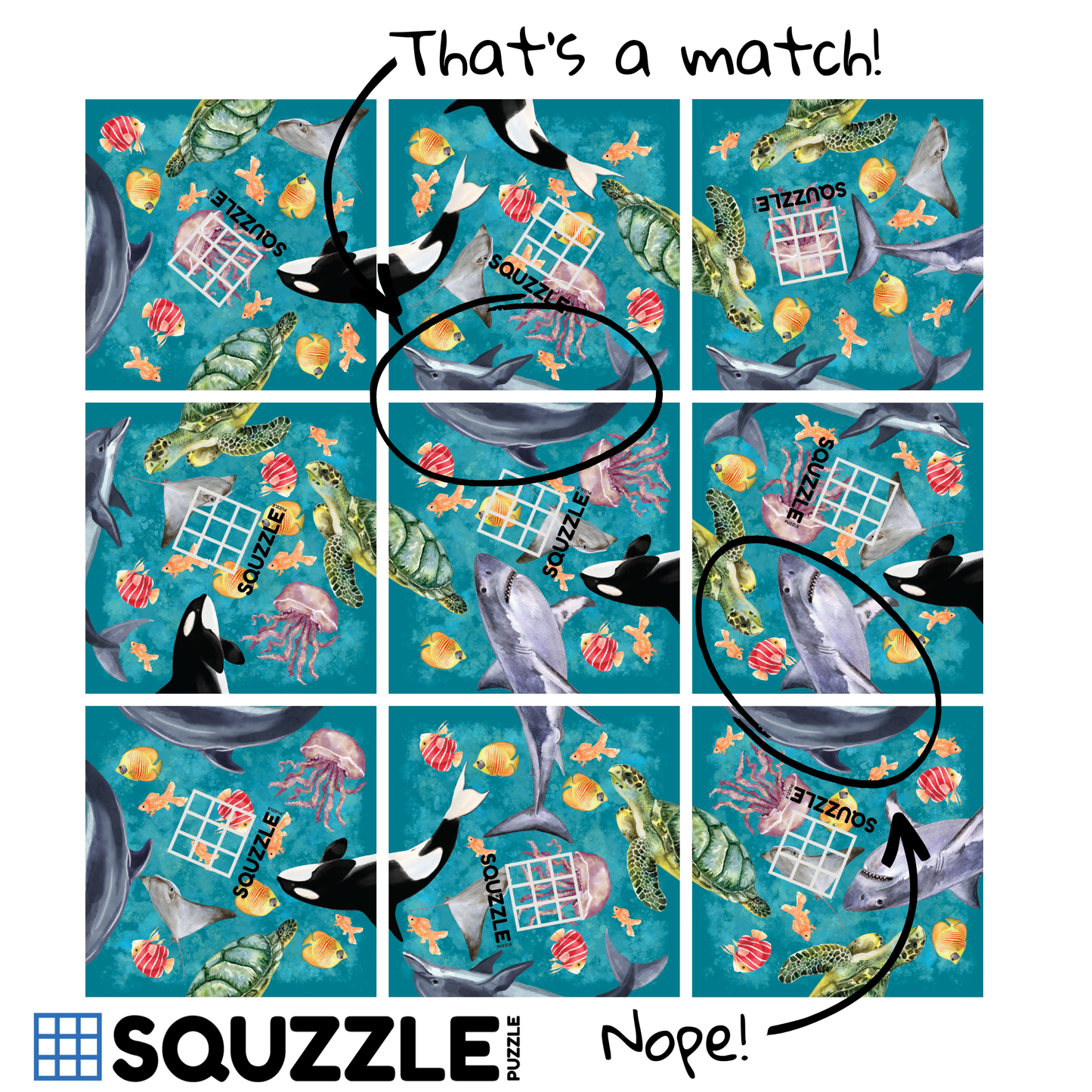 Ocean Life Squzzle Puzzle