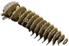 EUGY Echidna 3D Puzzle