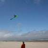 Sea Turtle 45" Fly-Hi Kite